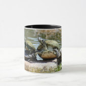 Turtles-Tasse Tasse (Zentrum)
