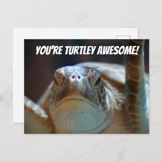 Turtley Phantastisch Postcard Postkarte (Vorne/Hinten)