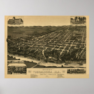 Tuscaloosa, AL panoramische Karte Vintages 1887 Poster