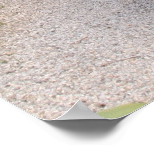 Tuscan Alley Poster (Ecke)