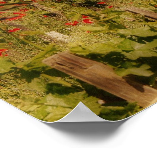 Tuscan Dream Print Poster (Ecke)