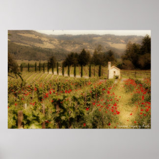 Tuscan Dream Print Poster