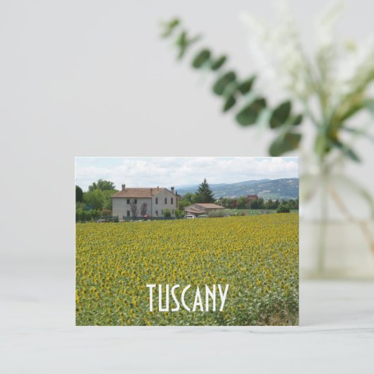 Tuscany Hillside Sunflower Field Postcard Postkarte (Stehend Vorderseite)