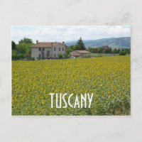 Tuscany Hillside Sunflower Field Postcard