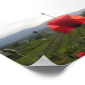Tuscany Poppy Poster (Ecke)