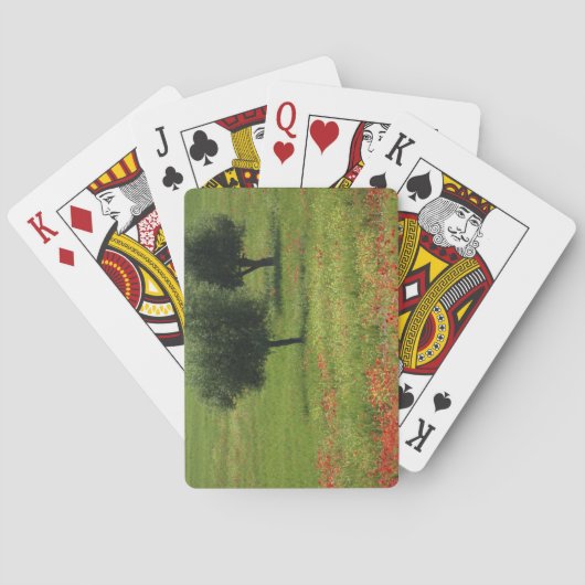 Tuscany Spielkarten (Rückseite)