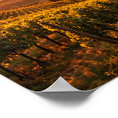 Tuscany Vineyard at Sunset Landscape Poster (Ecke)