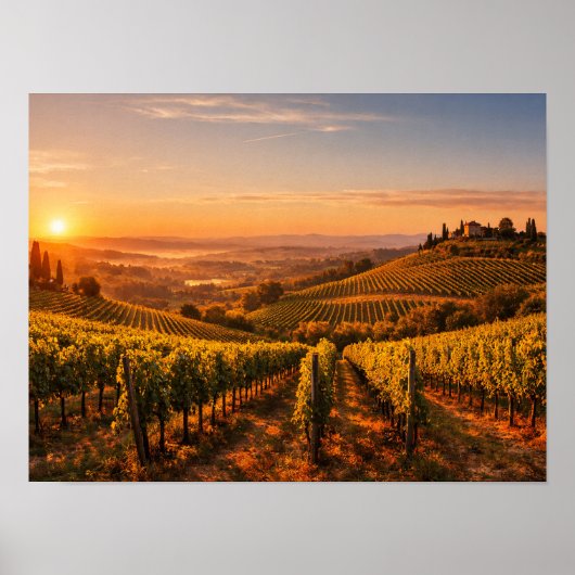 Tuscany Vineyard at Sunset Landscape Poster (Vorne)