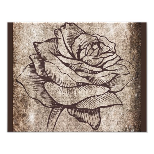 Tuschezeichnung Rose Fotodruck (Vorne)