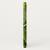 TUSKANISCHE LANDSCHAFT MIT GRÜNEN HÜLLEN (Hinten/Links)