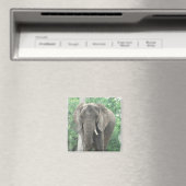 Tusked Elephant Magnet (In Situ (Geschirrspüler))