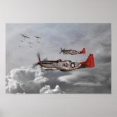 Tuskegee Airmen Poster (Vorne)