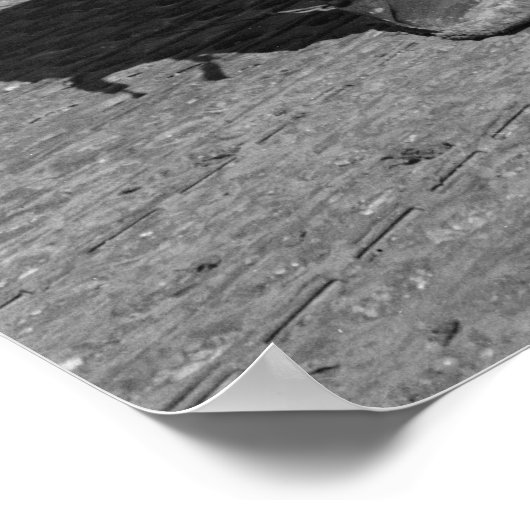 Tuskegee Tlow: 1945 Poster (Ecke)