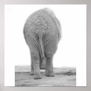 Tut meinen wertlosgroßen Blick Poster