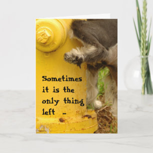 Tut mir leid, das sind zum Kotzen Karte