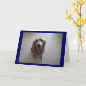 Tut mir leid! karte (Gelbe Blume)