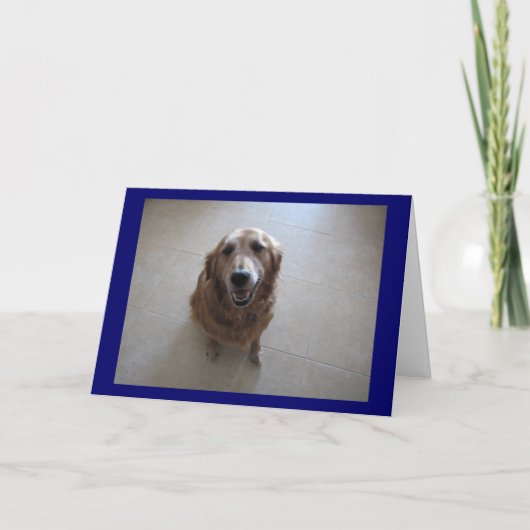 Tut mir leid! karte (Vorderseite)