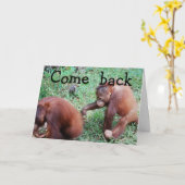 Tut mir leid: Lasst uns wieder zusammenkommen Karte (Gelbe Blume)