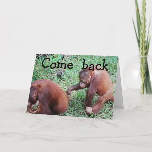 Tut mir leid: Lasst uns wieder zusammenkommen Karte (Vorderseite)