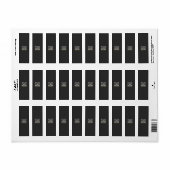 Tut mir leid, meine Damen sind schon wie ein Brude (Vorne)