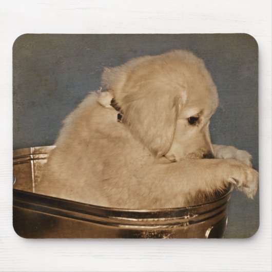 Tut mir leid. mousepad (Vorne)