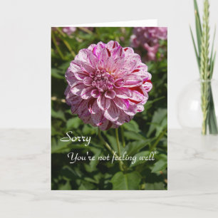 Tut mir leid, Sie sind nicht gut im Gefühl Karte