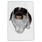 Tüte mit Hasen mit Schlappohren als Geschenk (Vorderseite)