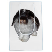 Tüte mit Hasen mit Schlappohren als Geschenk (Rückseite)