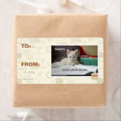 Tutor Kitty (Insitu)