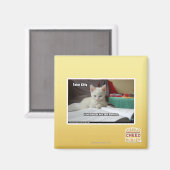 Tutor Kitty Magnet (Vorderseite/Rückseite)