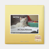 Tutor Kitty Magnet (Vorne)