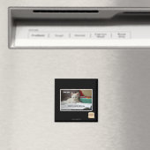 Tutor Kitty Magnet (In Situ (Geschirrspüler))