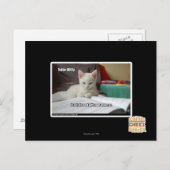 Tutor Kitty Postkarte (Vorne/Hinten)