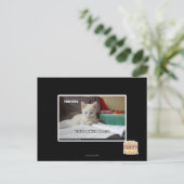 Tutor Kitty Postkarte (Stehend Vorderseite)