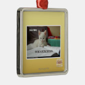 Tutor-Miezekatze Ornament Aus Metall (Rechts)