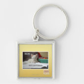 Tutor-Miezekatze Schlüsselanhänger (Vorne)