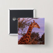 Tutwa, Giraffe in Botswana, Button (Vorne & Hinten)