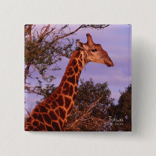Tutwa, Giraffe in Botswana, Button (Vorderseite)