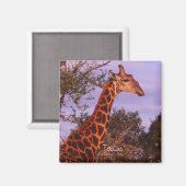 Tutwa, Giraffe in Tetswana, Magnet (Vorderseite/Rückseite)