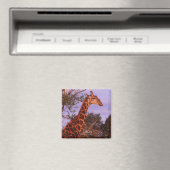 Tutwa, Giraffe in Tetswana, Magnet (In Situ (Geschirrspüler))