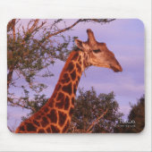 Tutwa, Giraffe in Tetswana, Mousepad (Vorne)