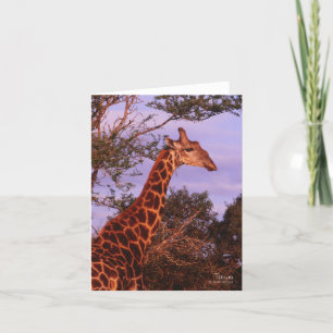 Tutwa, Giraffe in Tetswana, Note Card Karte