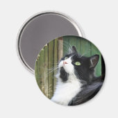 Tux - 2¼ Zoll rundes Magnet (Vorderseite/Rückseite)