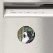 Tux - 2¼ Zoll rundes Magnet (In Situ (Geschirrspüler))