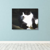 Tuxedo Cat 20"x16" Stretched Canvas Print Leinwanddruck (Insitu (Holzboden))
