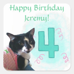 Tuxedo Cat Age Four Happy Birthday Stickers