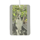 Tuxedo Cat Autolufterfrischer (Vorderseite)