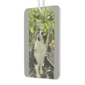 Tuxedo Cat Autolufterfrischer (Links)