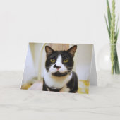 Tuxedo Cat Birthday Mike Spaß Card Karte (Rückseite)