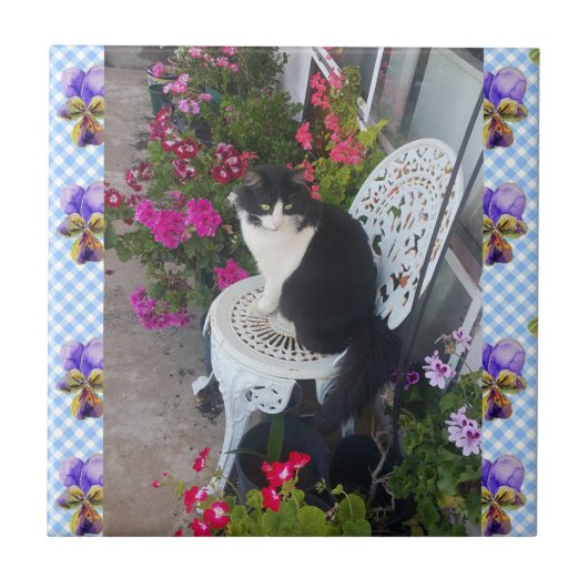 Tuxedo Cat Blume Funny Cats violette Keramik Tile Fliese (Vorderseite)